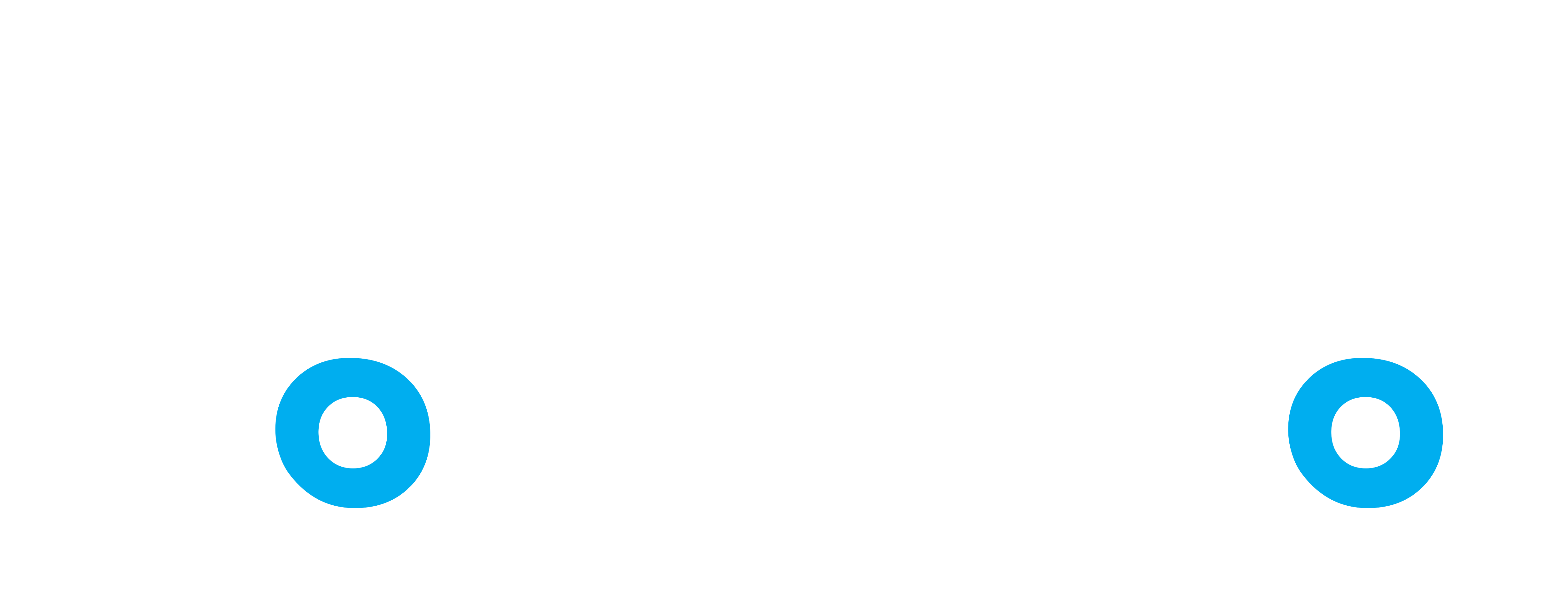 Fotillo